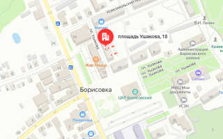 Социальный фонд России (СФР) Борисовка