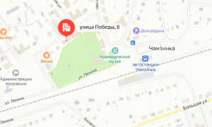 Социальный фонд России (СФР) Чамзинка