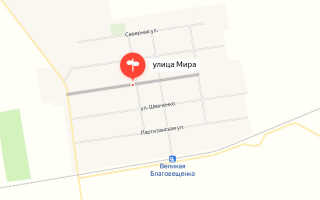 Социальный фонд России (СФР) Великая Благовещенка