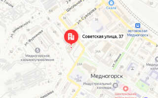 Социальный фонд России (СФР) Медногорск