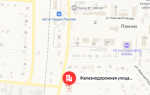 Социальный фонд России (СФР) Панино